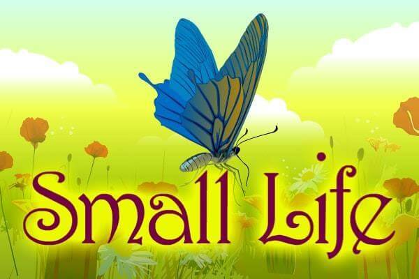 SMALL LIFE